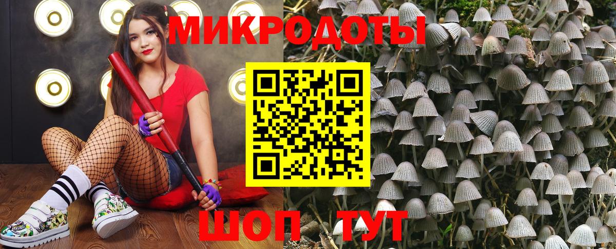 Галлюциногенные грибы MAGIC MUSHROOMS Батайск