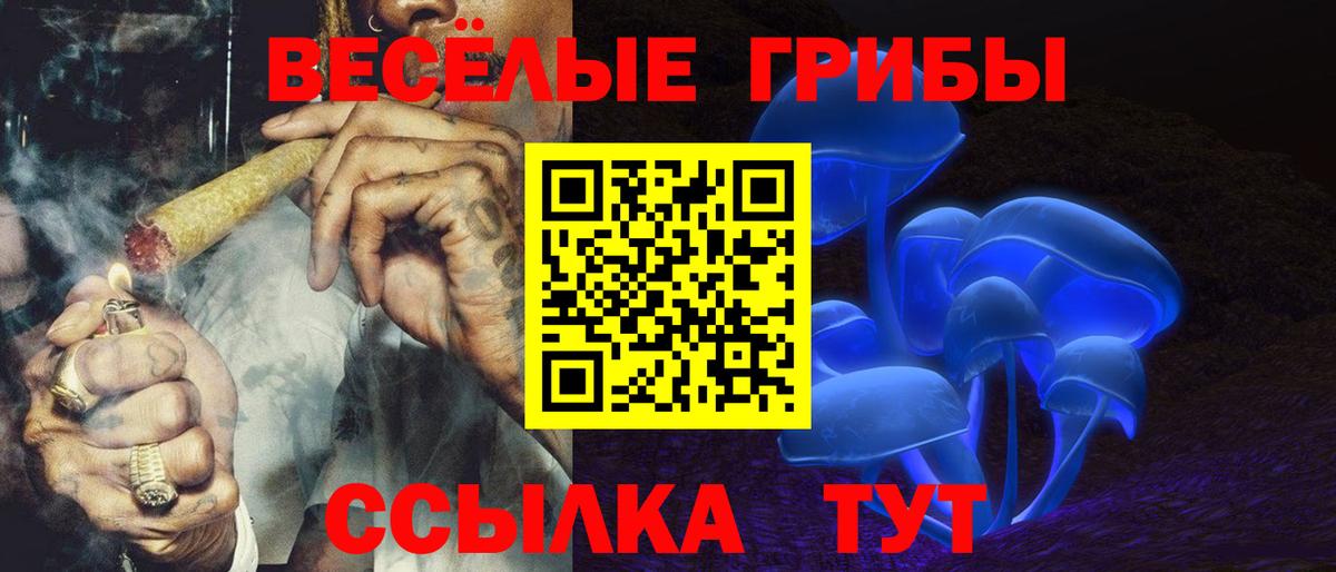 Батайск  Псилоцибиновые грибы Cubensis  Вход с VPN 